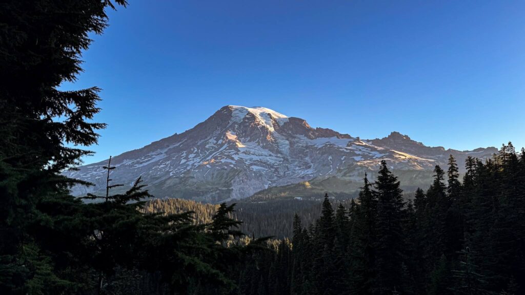 Wide view of Mount Rainier with snow-covered slopes and evergreen forest under a clear blue sky in Washington State.