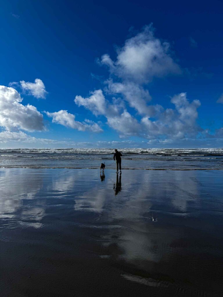 Person walking a dog along Ocean Shores Beach with reflections on wet sand under dramatic clouds.