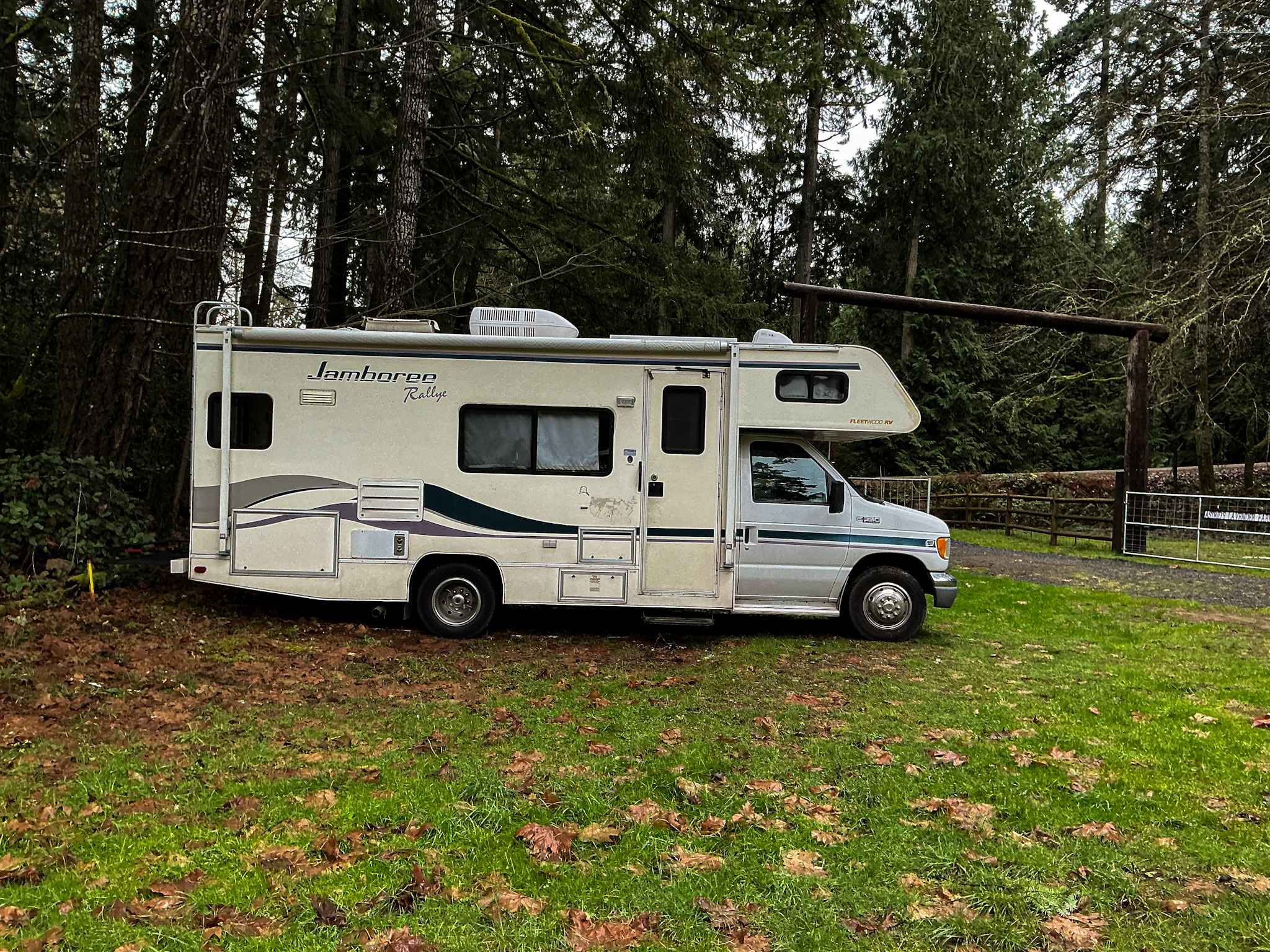 Class C RV parked on a grassy campsite surrounded by evergreen trees in a forest setting.