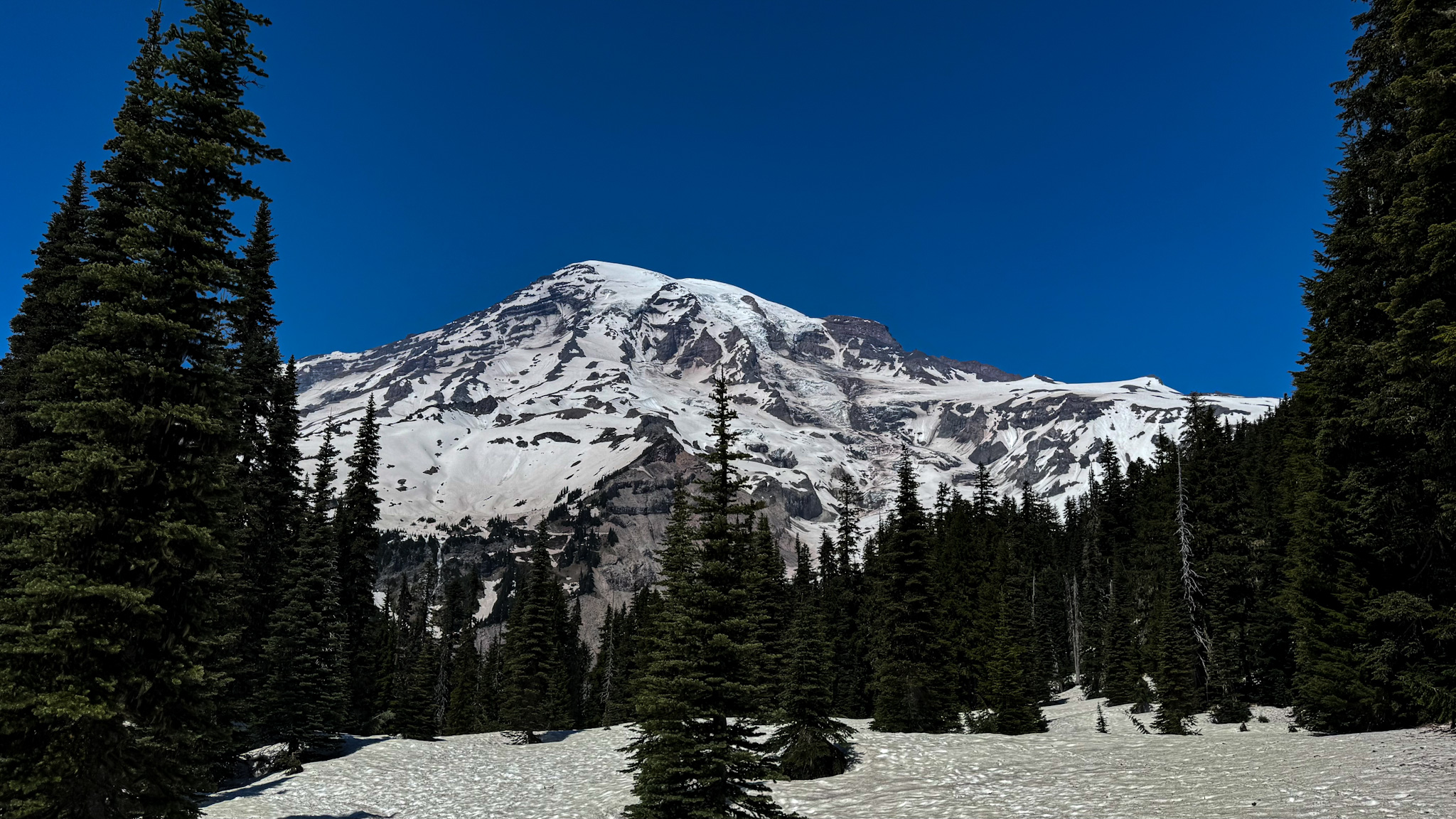 Mount Rainier towering above snow-covered evergreen forest in Mount Rainier National Park.
