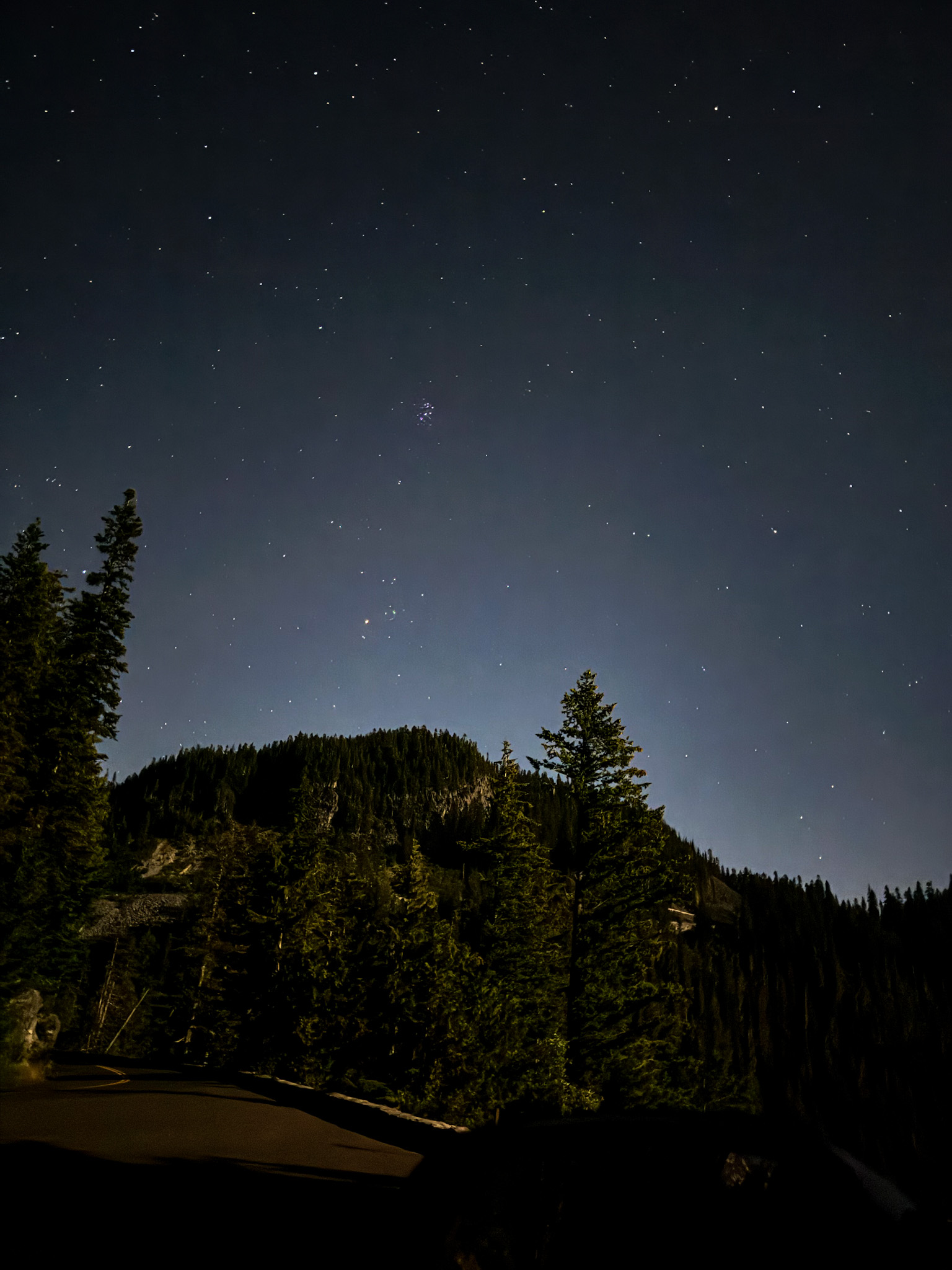 Starry night sky above evergreen trees in Mount Rainier National Park, Washington.
