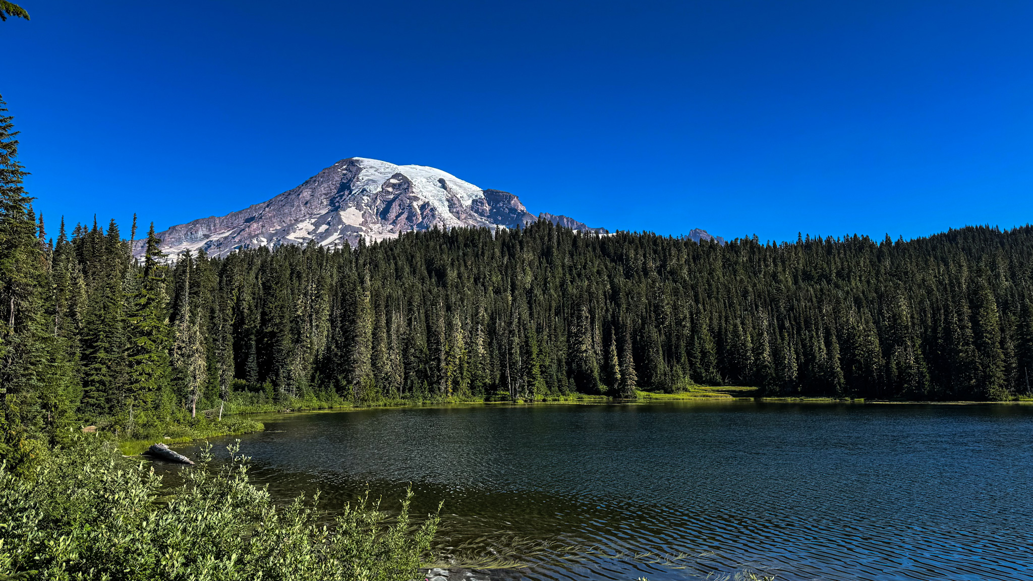 Mount Rainier towering above an alpine lake surrounded by evergreen forest in Mount Rainier National Park.
