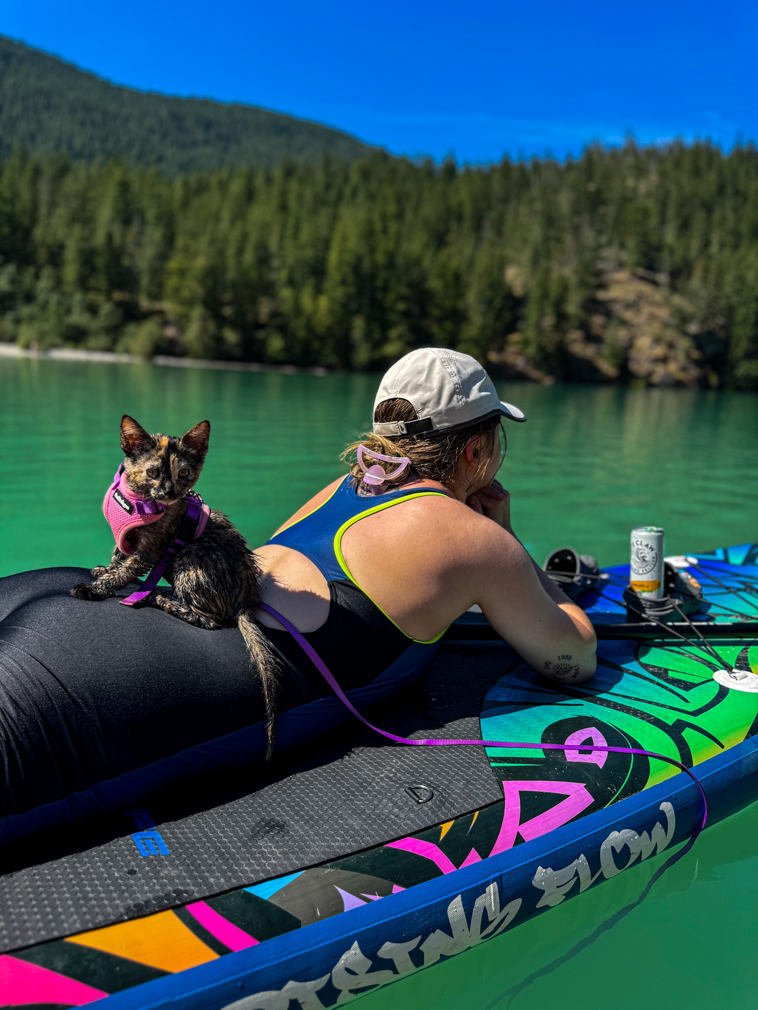 Woman paddleboarding on turquoise Diablo Lake in North Cascades National Park with a tortoiseshell cat wearing a pink harness sitting on the board.