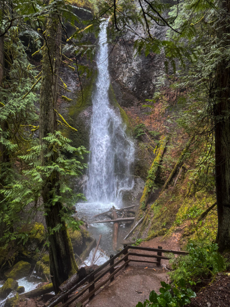 Marymere Falls cascading through a mossy forest with a viewing platform in Olympic National Park.