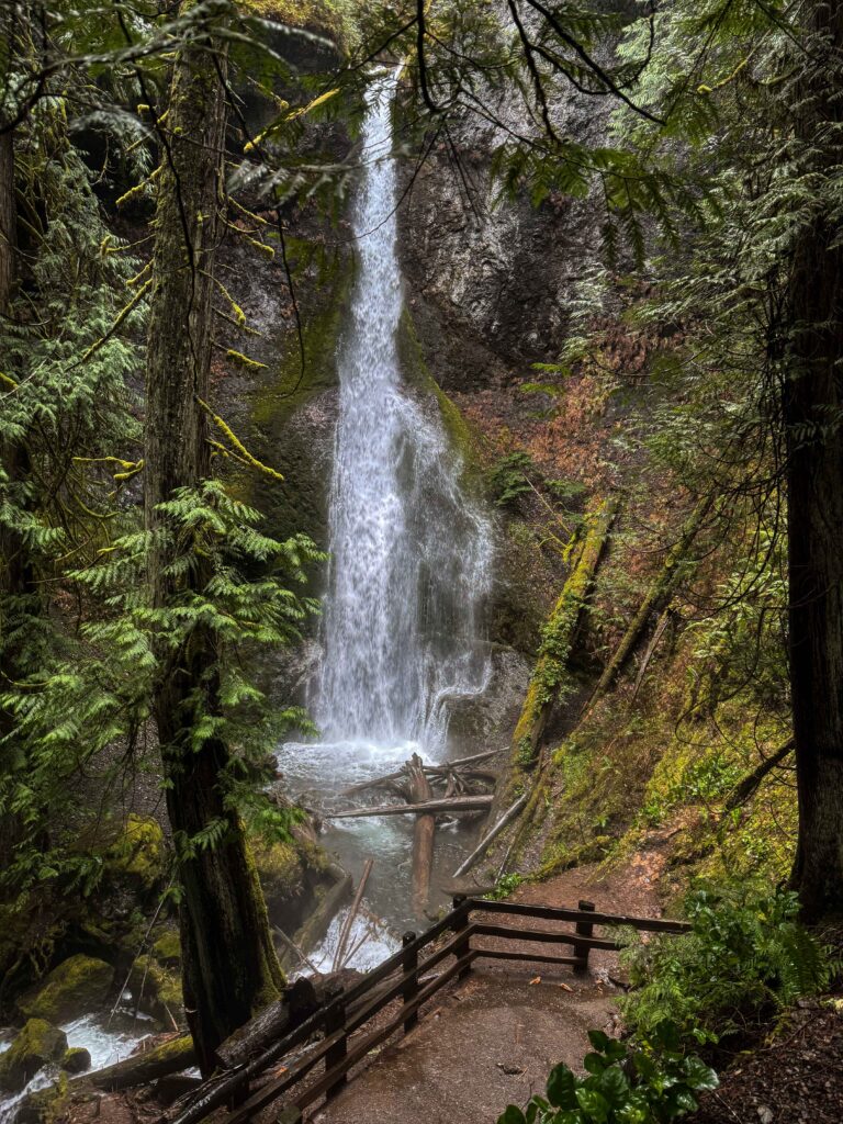 Marymere Falls cascading through a mossy forest in Olympic National Park with a viewing platform below.