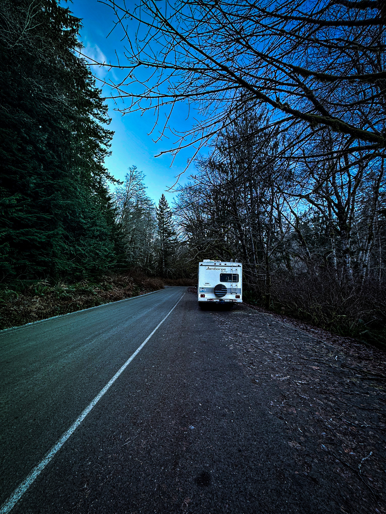 Class C RV parked along a quiet forest road surrounded by tall evergreen trees in Washington State.
