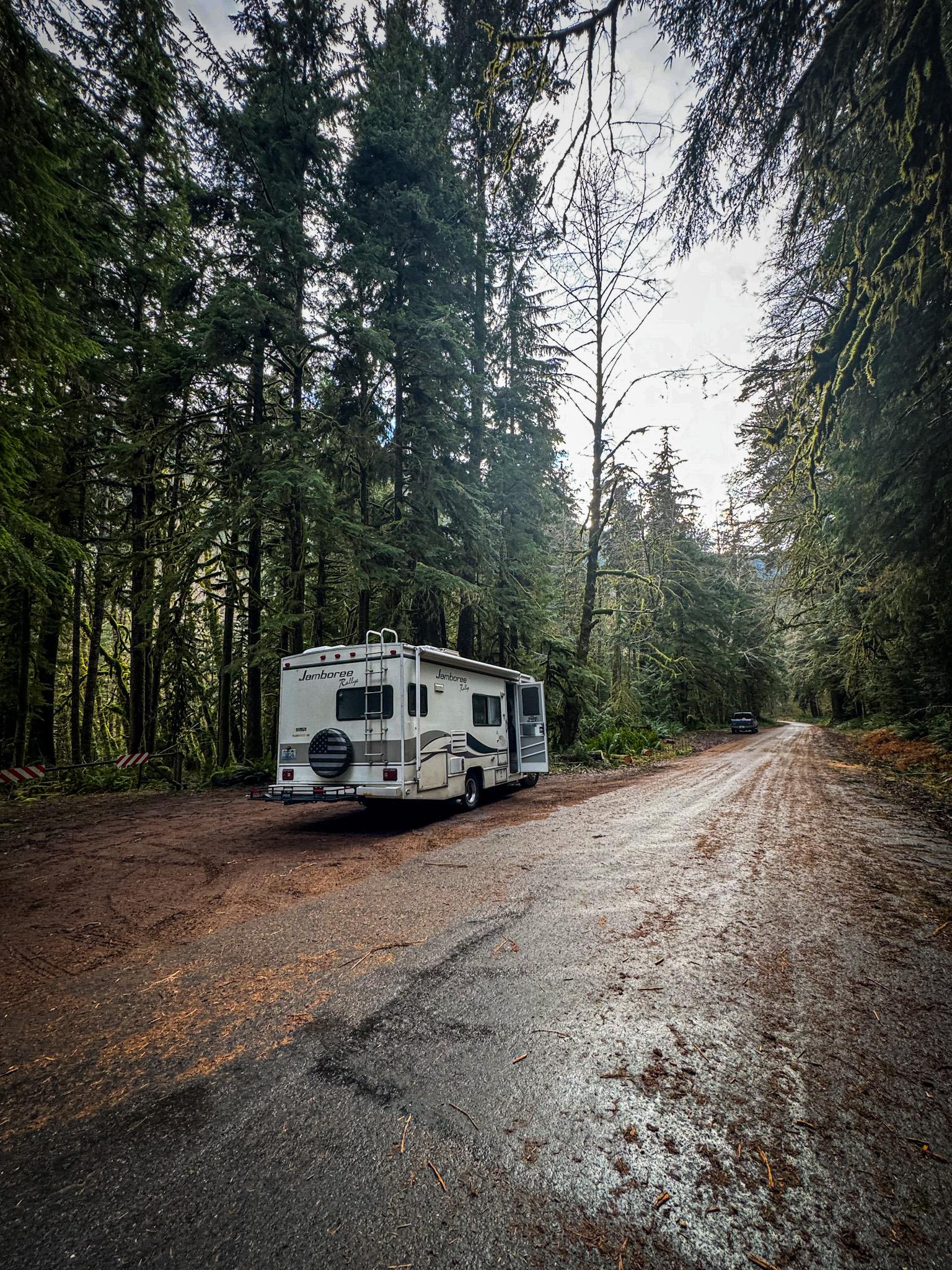 Class C RV parked along a quiet forest road surrounded by tall moss-covered evergreen trees in Washington State.