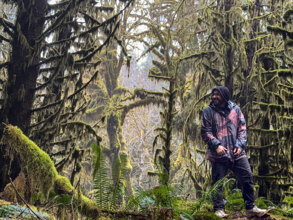 Person standing among moss-covered trees and ferns in the Hoh Rain Forest of Olympic National Park.