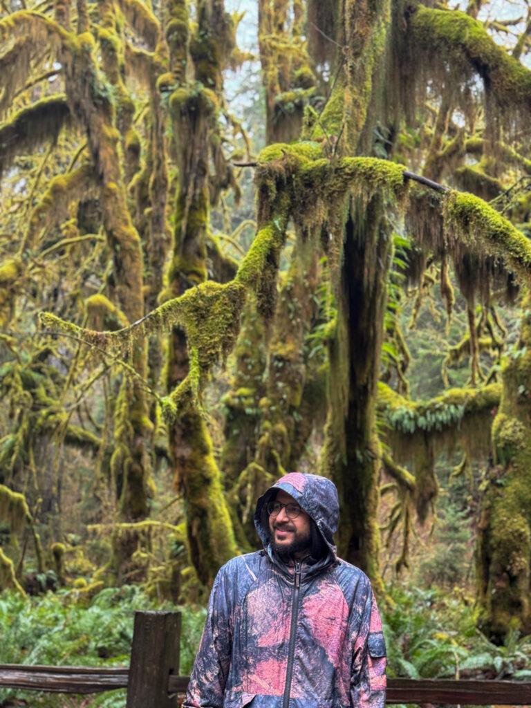 Person standing among moss-covered trees and hanging branches in the Hoh Rain Forest of Olympic National Park.
