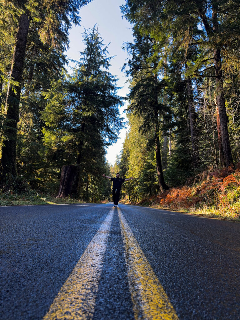 Person standing in the middle of a forest road surrounded by tall evergreen trees in Washington State.