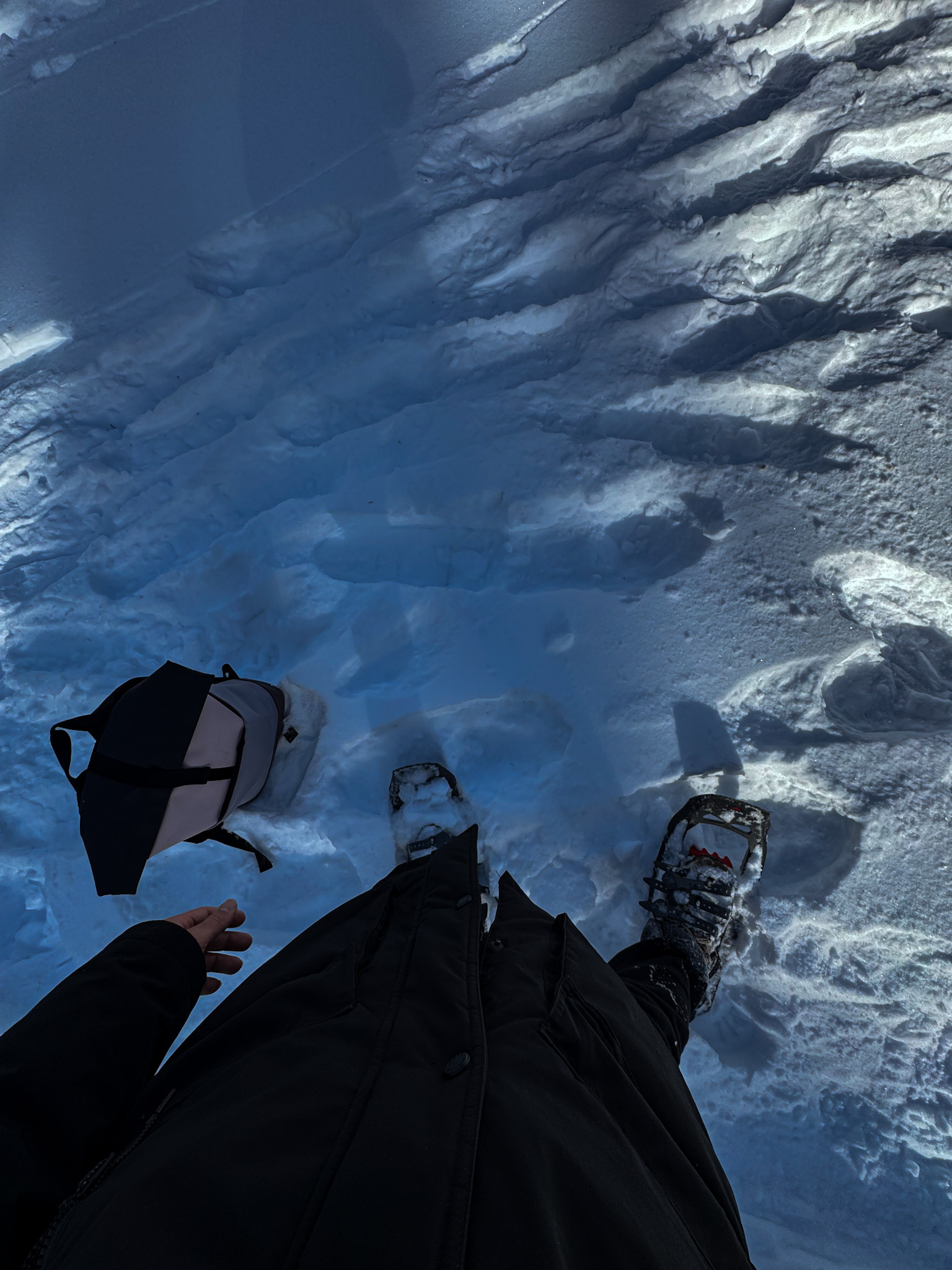 Person wearing snowshoes standing in deep snow with a backpack on the ground in Mount Rainier National Park.
