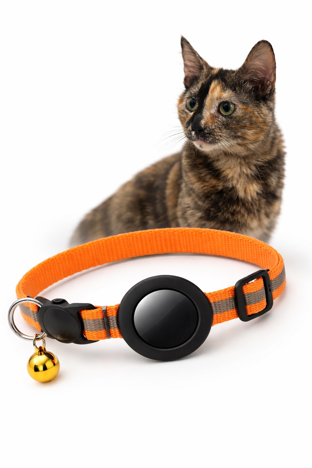 Tortoiseshell cat with an orange GPS tracking collar and bell.
