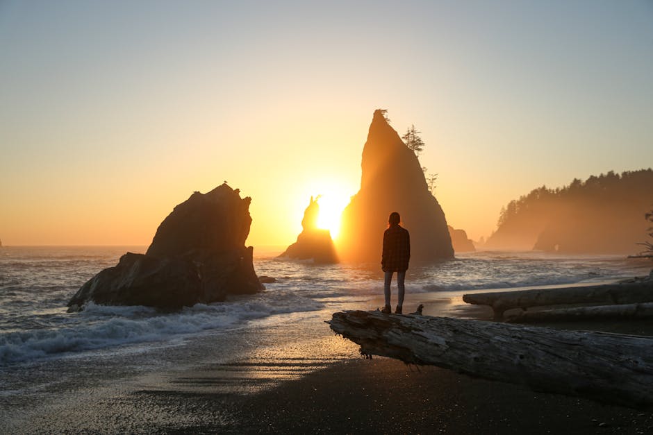 A person stands on a log at sunset overlooking sea stacks at Rialto Beach, Olympic National Park, Washington.