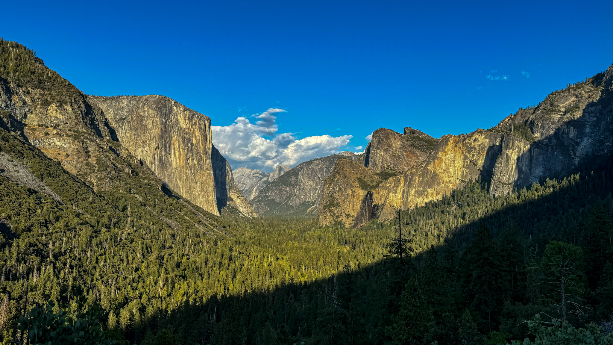 Panoramic view of Yosemite Valley from Tunnel View showing El Capitan, Bridalveil Fall, and forest below.

