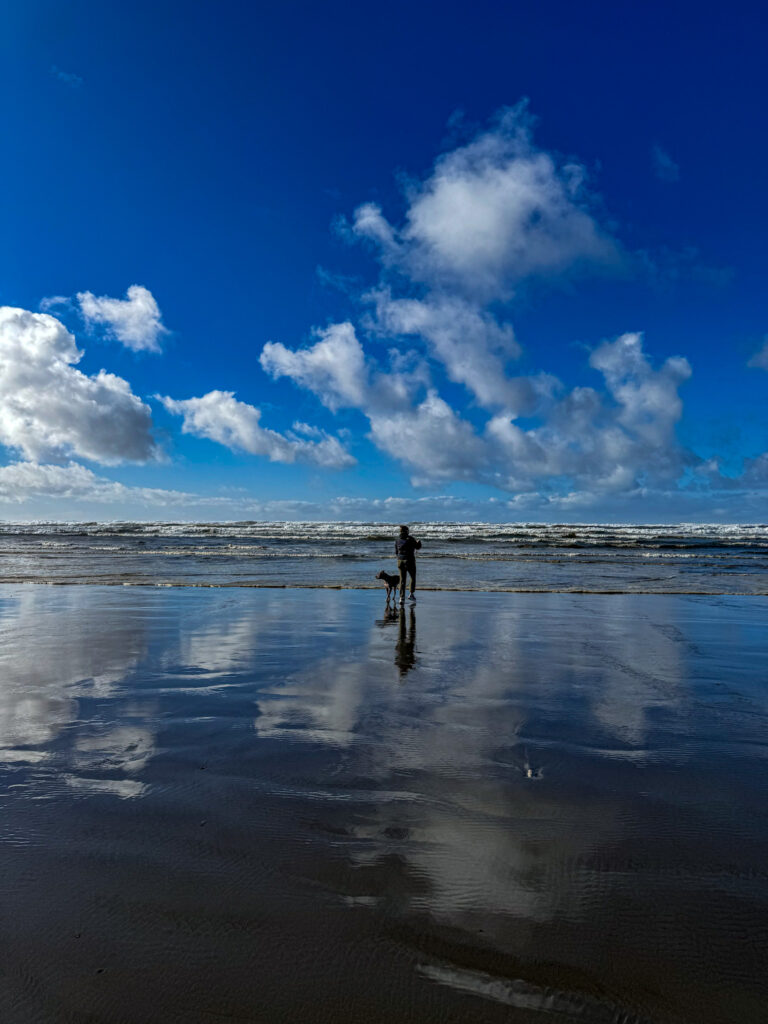 Person walking with a dog along a wide beach on the Oregon Coast with dramatic clouds and ocean waves.