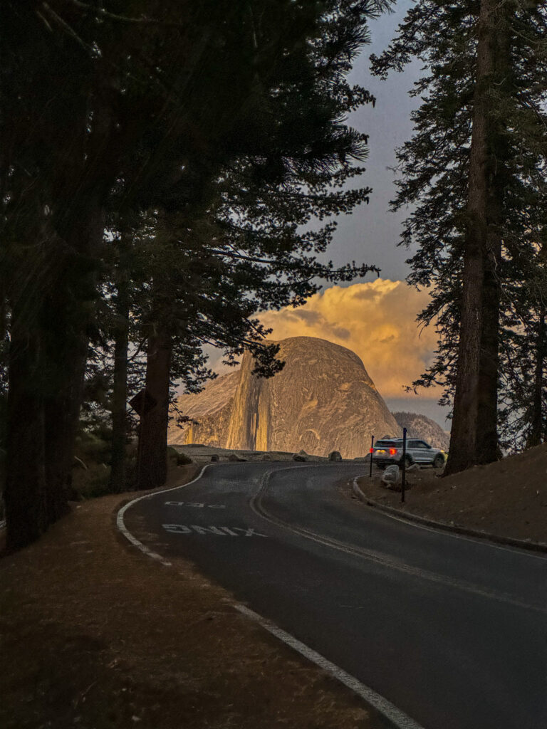Curved road leading to Half Dome at sunset framed by tall pine trees in Yosemite.