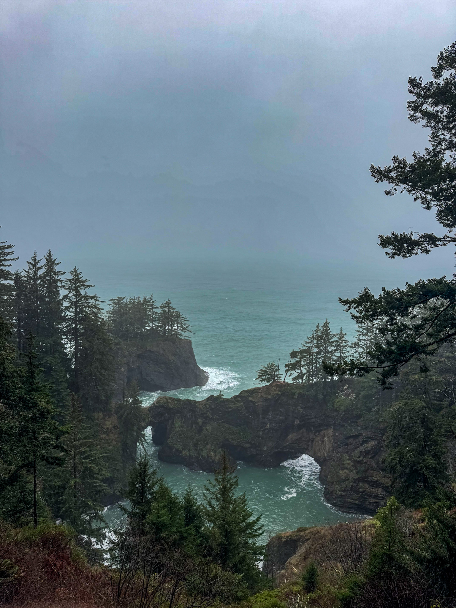 Natural rock bridges and sea arches along the rugged Oregon Coast near Brookings.
