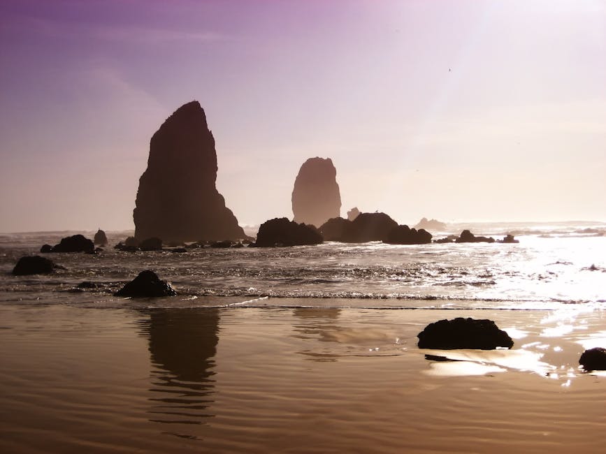Scenic view of sea stacks reflected on Cannon Beach during sunset.