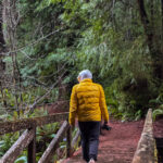 Hiker walking across a wooden bridge surrounded by lush evergreen forest in the Pacific Northwest.