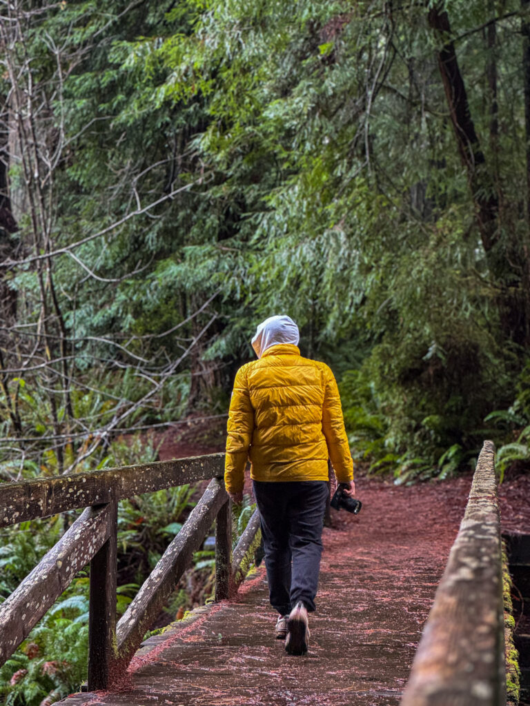 Hiker walking across a wooden bridge surrounded by lush evergreen forest in the Pacific Northwest.
