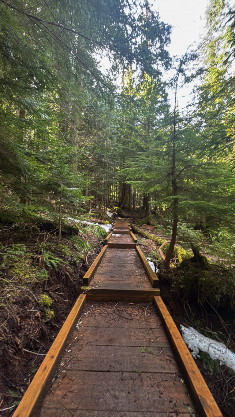 Wooden boardwalk trail through dense forest on Annette Lake hike near Seattle.