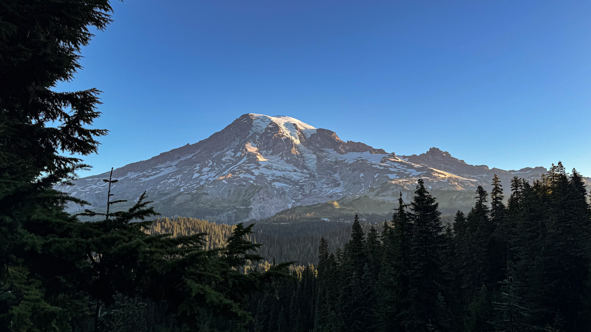 Mount Rainier glowing in early morning light above dark evergreen forest near Pinnacle Peak Trail.