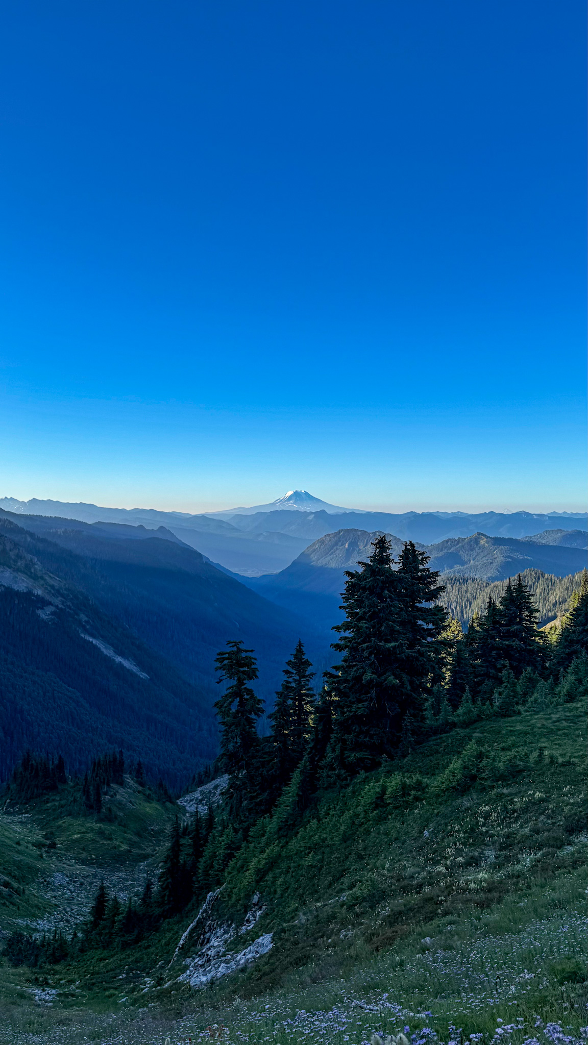 Layered mountain ridges and evergreen trees seen from Pinnacle Peak Trail, with a distant snow-covered mountain on the horizon.