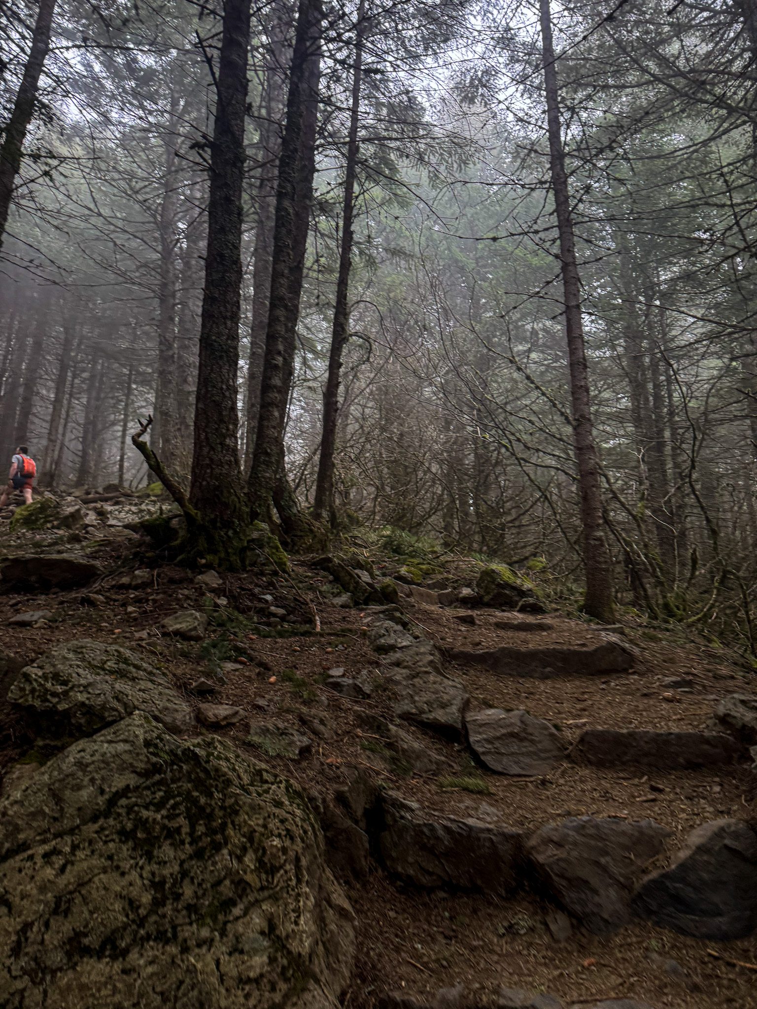 Rocky hiking trail through forest on Mount Si in Washington State.
