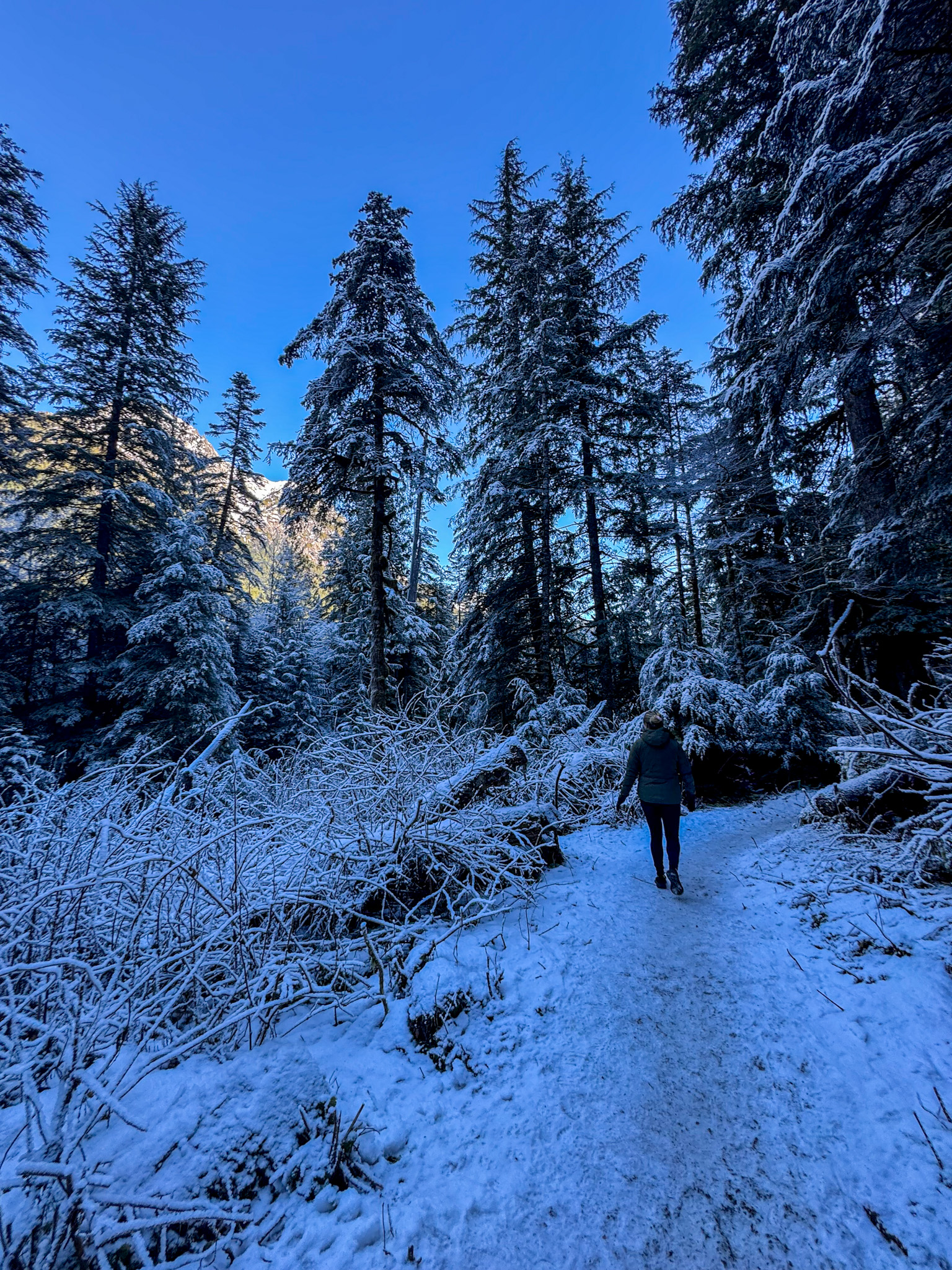 Person walking through a snowy forest trail near Barclay Lake in Washington.