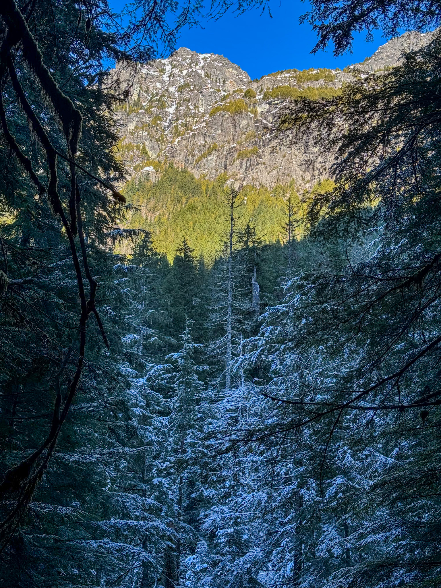 Snow-covered forest and mountain cliffs near Barclay Lake Trail in Washington.