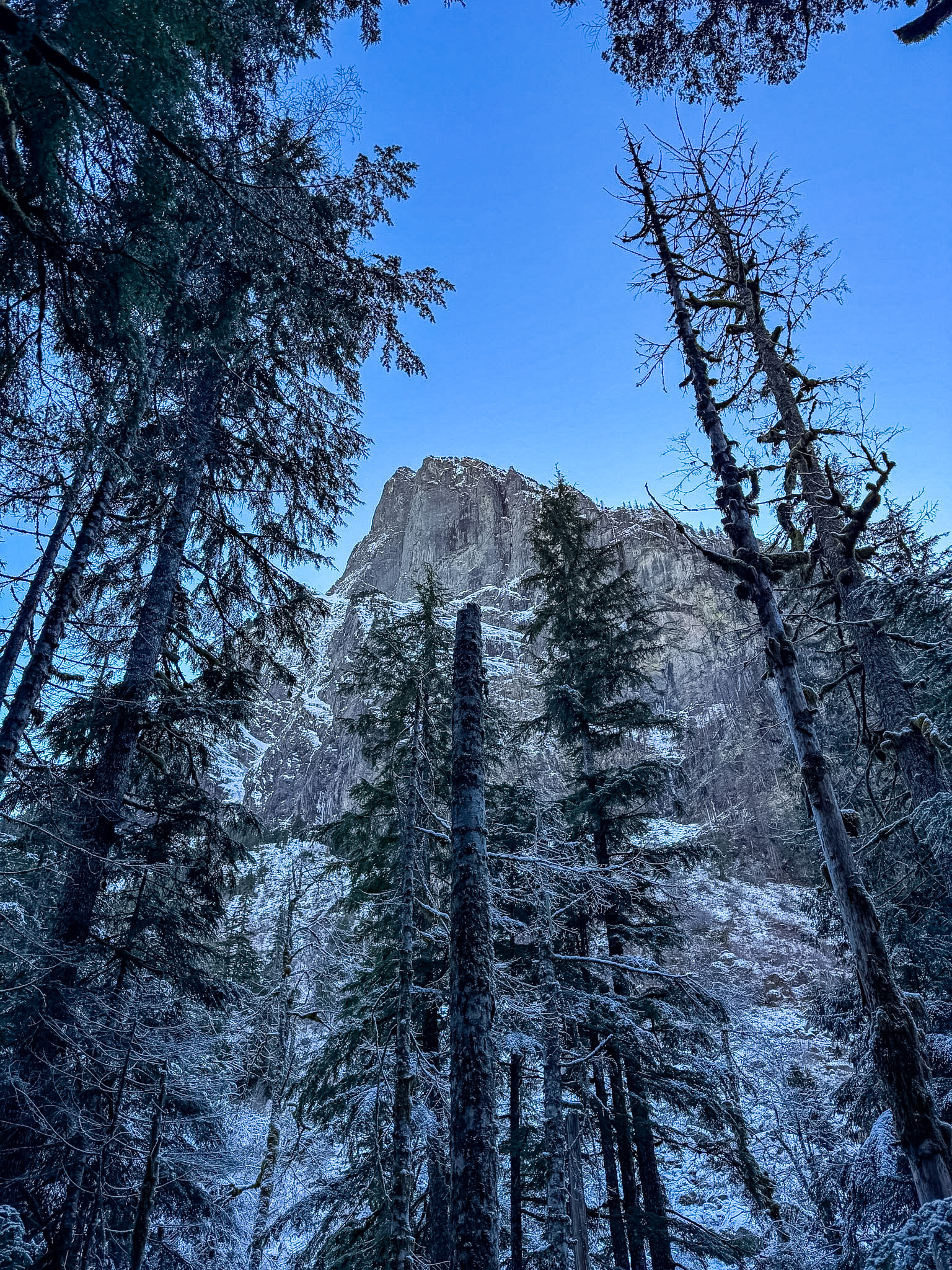 Snow-covered forest and mountain view along Barclay Lake Trail in Washington.