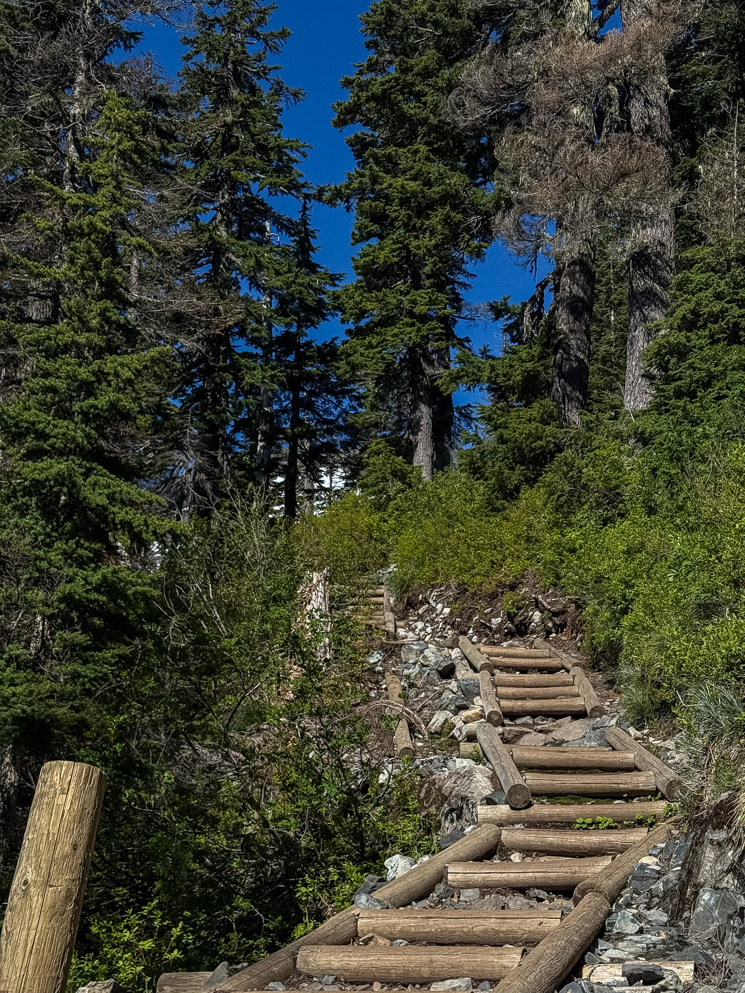 Wooden staircase climbing through evergreen forest along the Snow Lake Trail near Snoqualmie Pass, Washington.