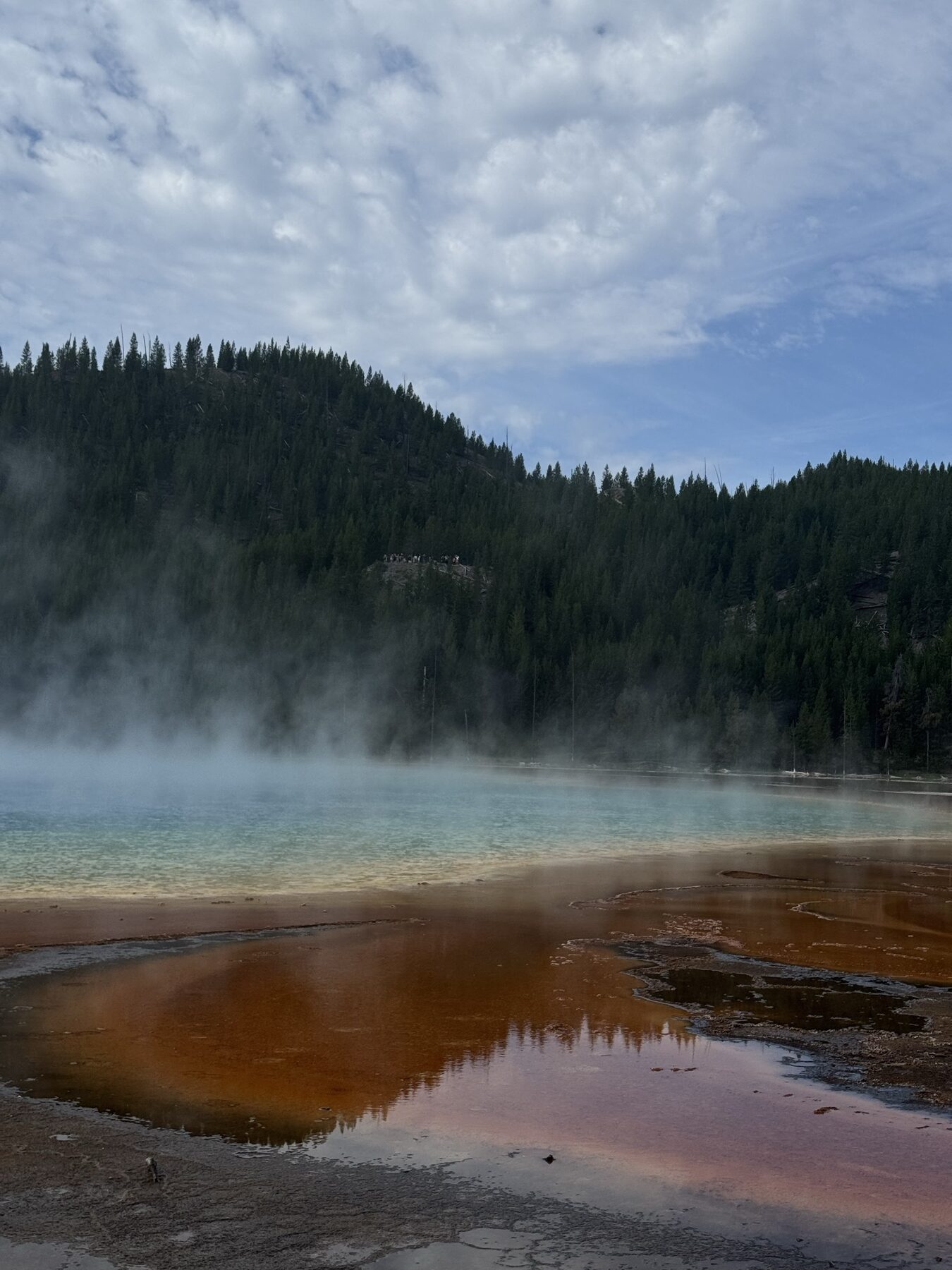 Steam drifting across Grand Prismatic Spring with forest reflections