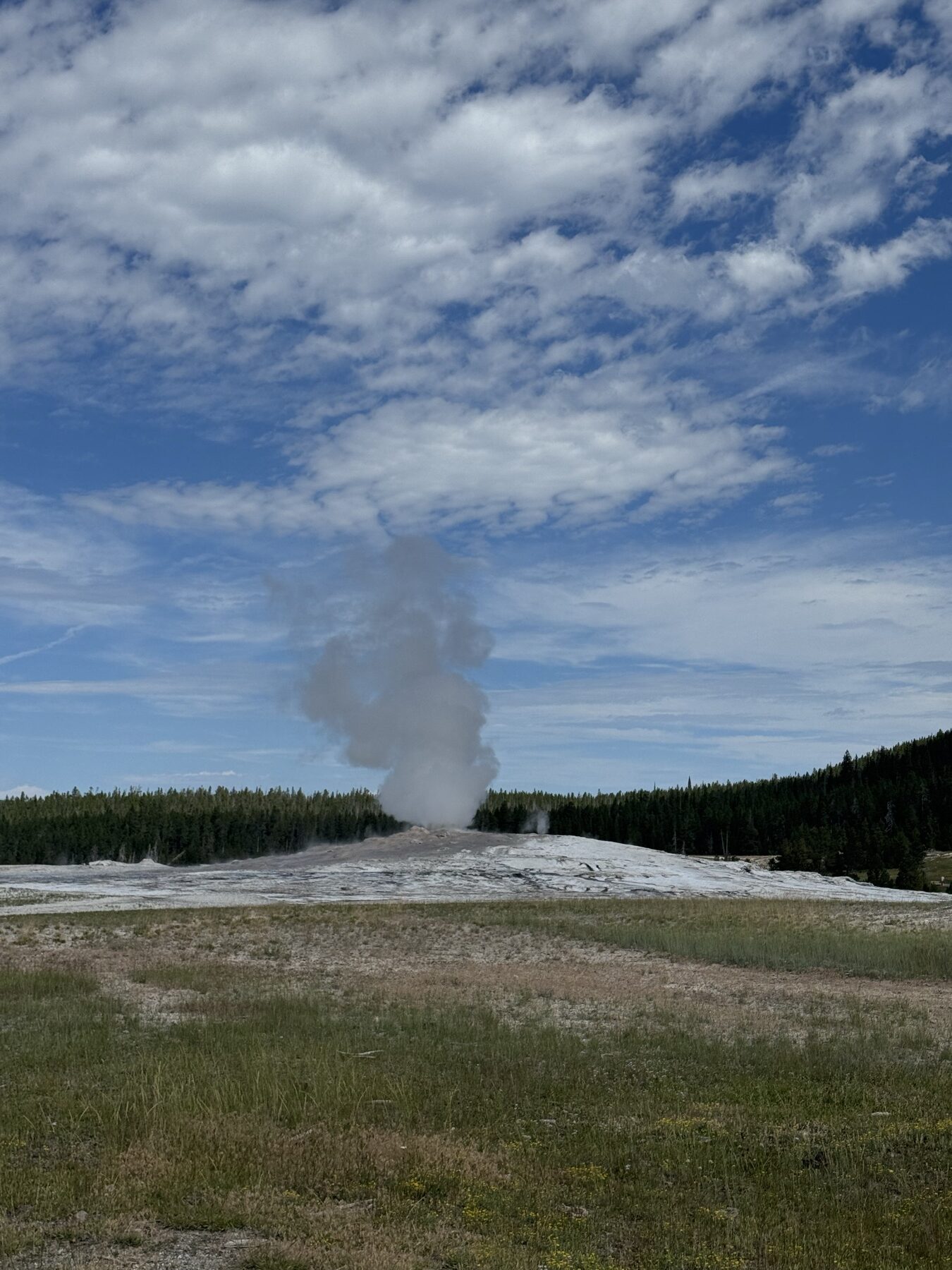 Old Faithful erupting beneath a blue sky in Yellowstone National Park