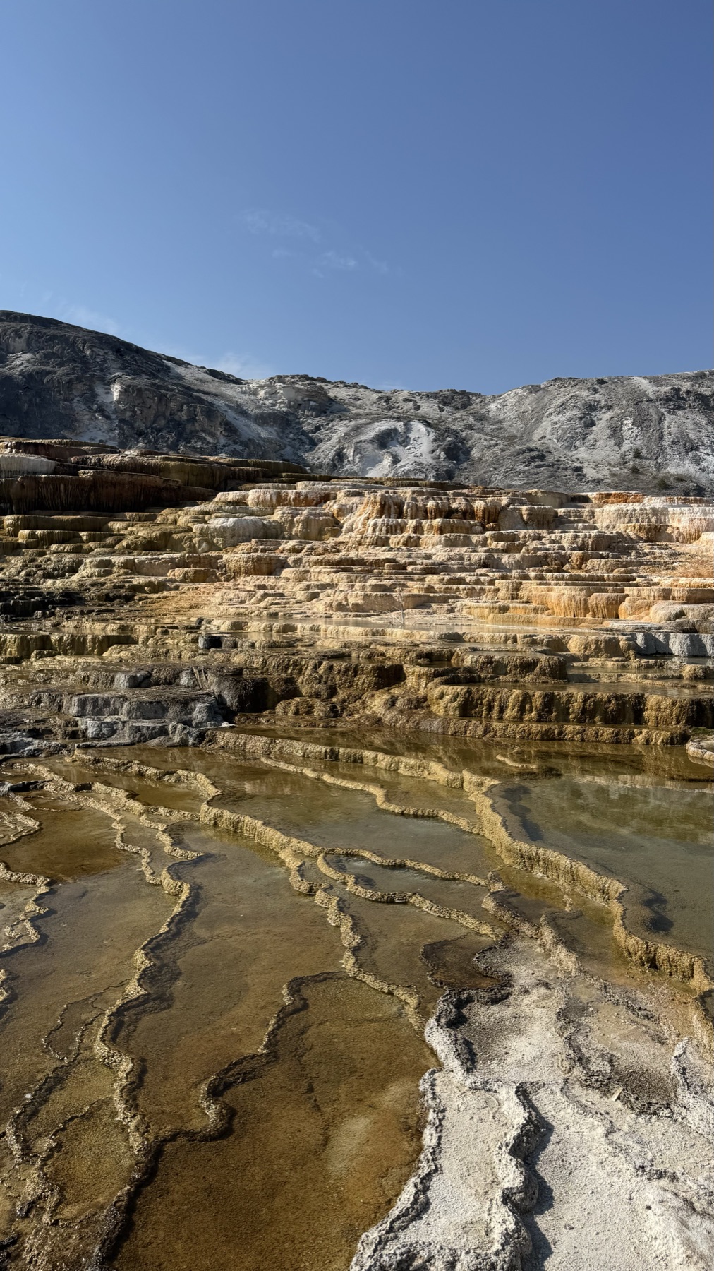 Travertine terraces at Mammoth Hot Springs in Yellowstone National Park