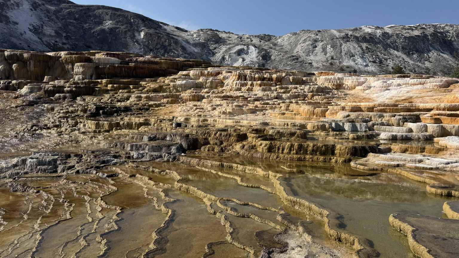 Mammoth Hot Springs